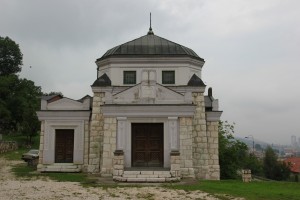 IMG 6354