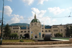 IMG 6513 (1)