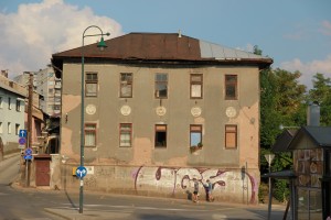 IMG 6553