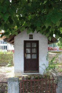 IMG 7094