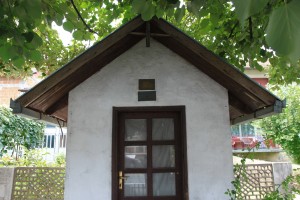 IMG 7098