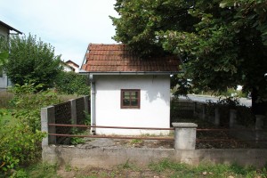 IMG 7102
