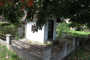IMG 7104