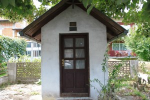IMG 7108